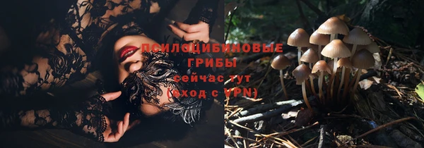 стаф Баксан